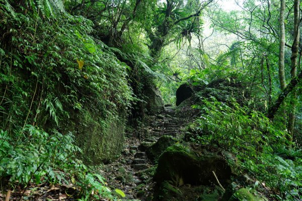 新北 石碇 西帽子岩、炙子頭山、溪邊寮山2551944