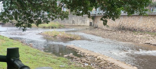 桃園老街溪2928626