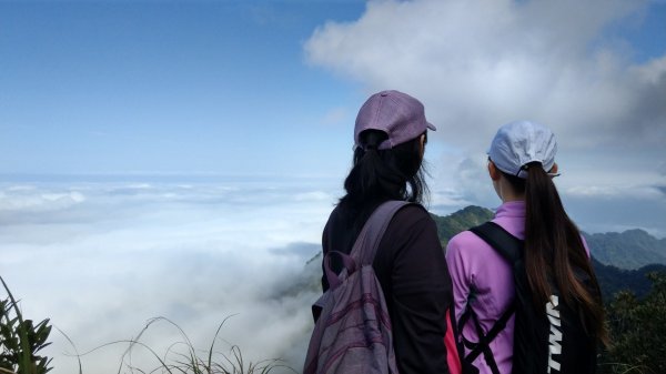 仙山登山步道503222