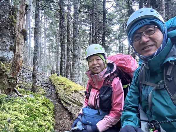 大眾運輸登 雪山西稜 (中雪山未竟) 2025/12/3~92970029