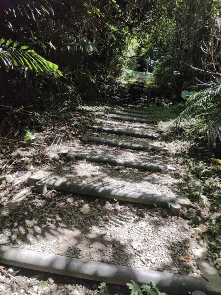 香路古道(巡護中路徑不明顯)暫時不要去2529783