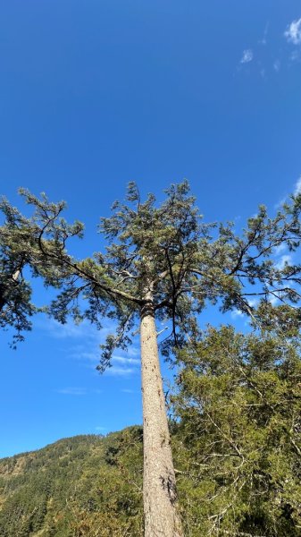 馬武霸下武陵2962389