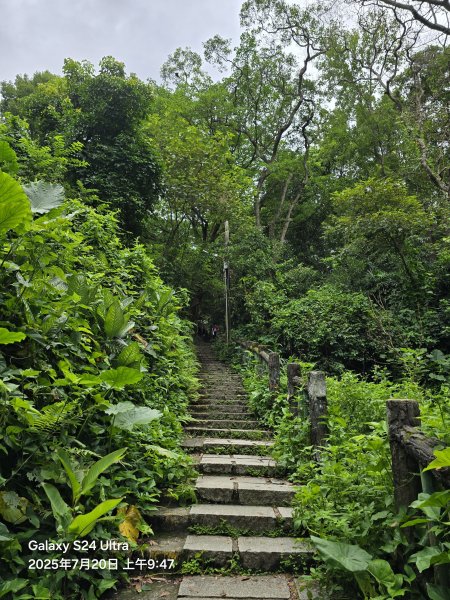 2025-07-20臺北大縱走第五段：捷運劍潭站至碧山巖(劍潭支線)2842557