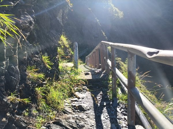 [玉山尋寶任務-07/12] 2025_0824 八通關雲龍瀑布步道2870660