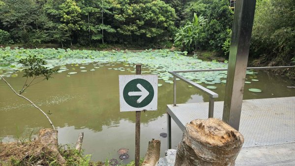 20250703象寮古道-梗枋古道2828899