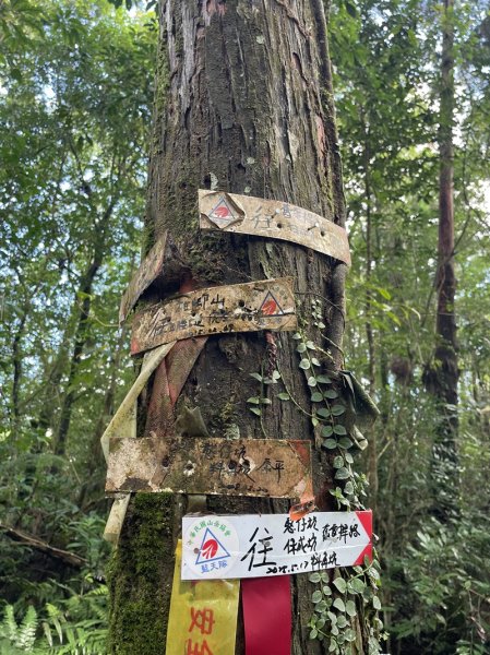 南北豹子廚山2925464