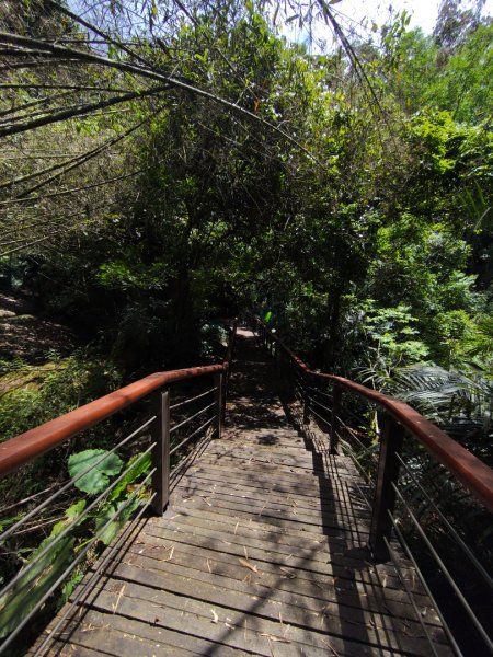 達娜伊谷-里美避難步道-巨石板步道-約富霓2788548