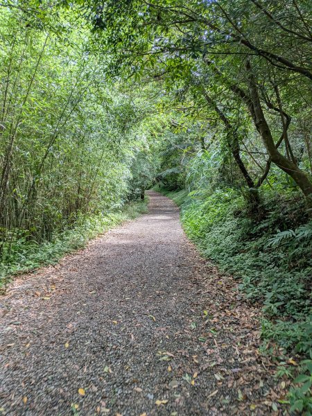 2025-06-14 臺北大縱走第一段來回2814750