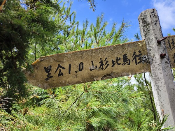 北一段(10/14)馬比杉山 2025_0906~132887139