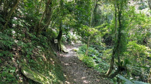 福山部落,內洞森遊區2552424