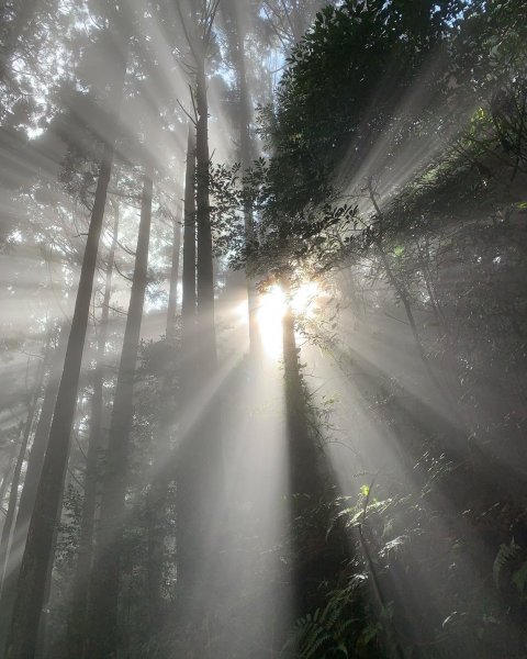 加里山1501863