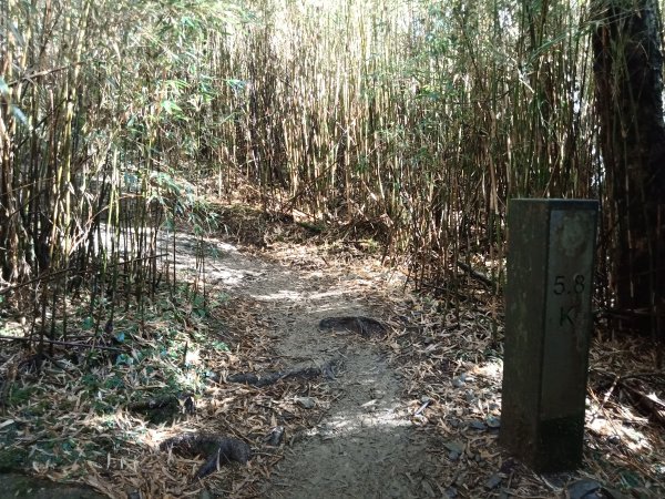 合歡西峰單攻1216985