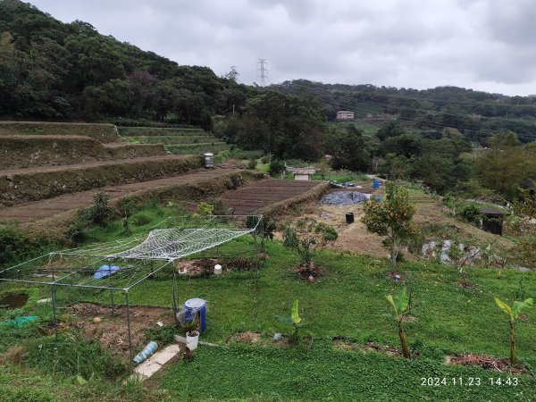 【臺北大縱走 7】3-3 相思炭窯→樟樹步道→彩雲亭→樟山寺→飛龍步道→政大校園→市府轉運站2654583