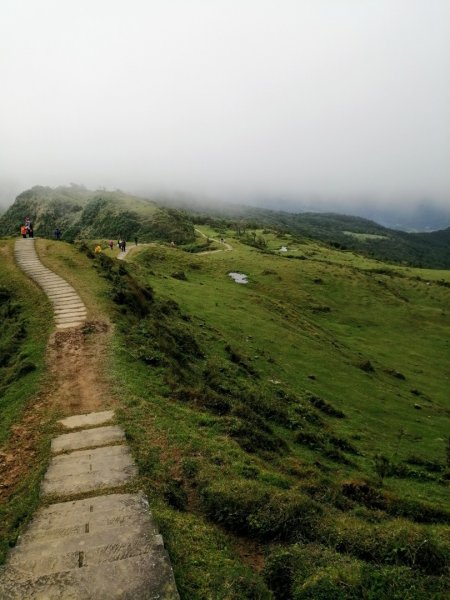 初訪草嶺古道870772