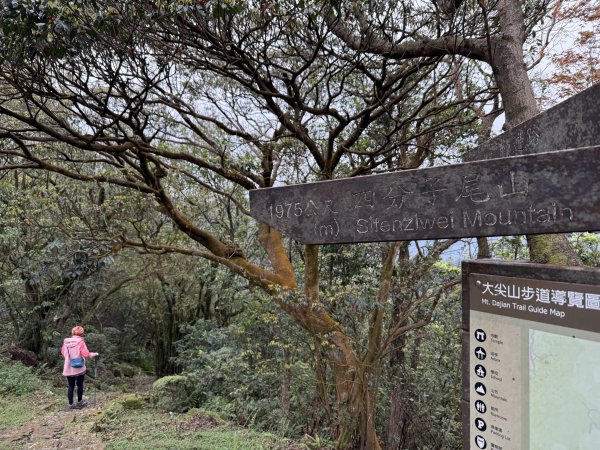 汐止大尖山-202503172770526