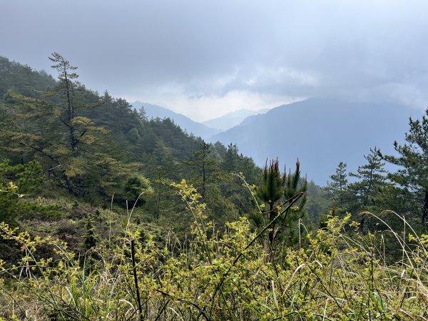 合歡山北峰2155845