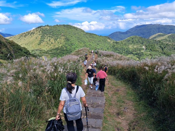 小百岳集起來大屯主峰，七星峰主峰，東峰步道3135741