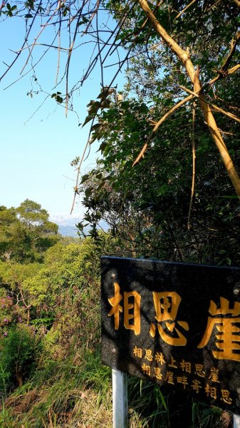 飛鳳山，觀日坪古道880094