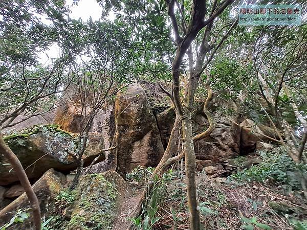 【新北市】拱北殿三秀山-北港山-金明山-柯子林山-火燒坪山-五指山前峰