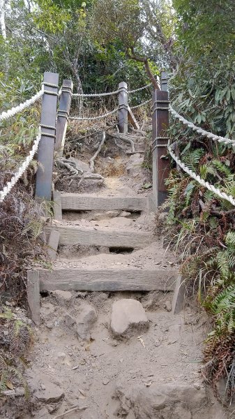 白毛山步道之旅530861