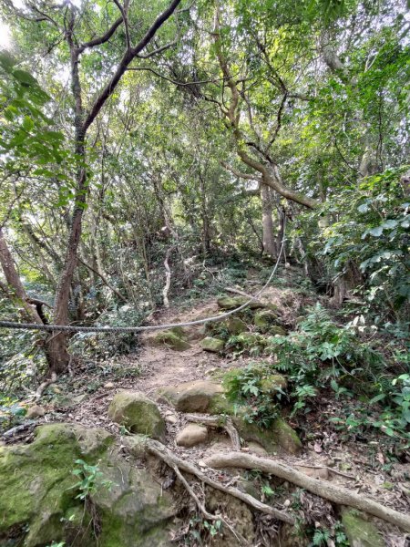 【新竹縣關西鎮】赤柯山步道2833170