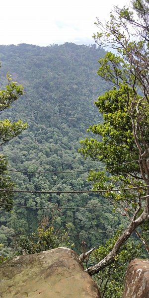 內鳥嘴山，北得拉曼神木群步道，瀑布初體驗1062605