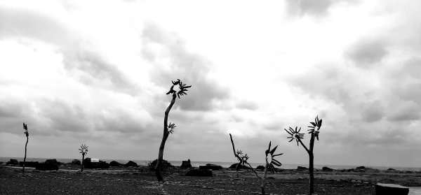 琅嶠卑南古道2700465