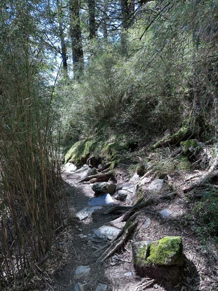 小奇萊步道2777613