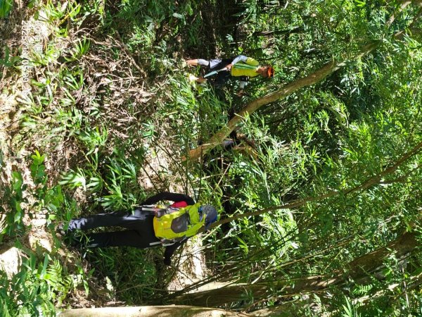 平溪磐石嶺古道屏風山巡山2915887