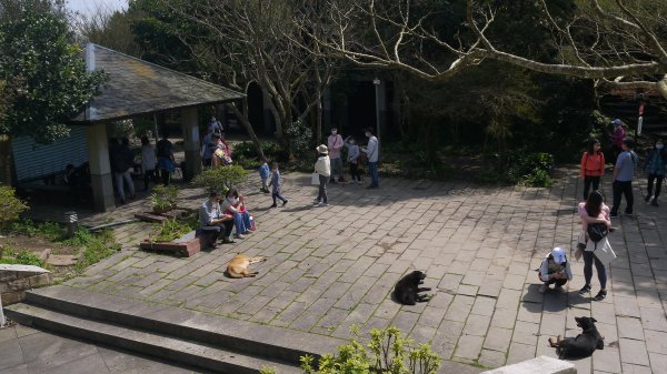 觀音山登山健行趣(小百岳05號)1632351