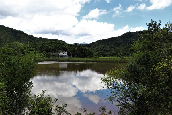 HK - 牛屎湖1046160