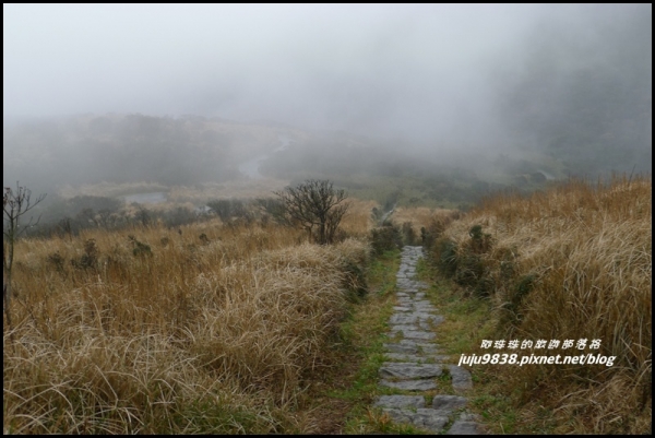 台北。煙雨濛濛大屯山主峰連峰步道