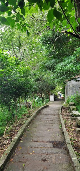 2024-06-15觀音山【福隆山、尖山(占山)登山步道】O走2528242