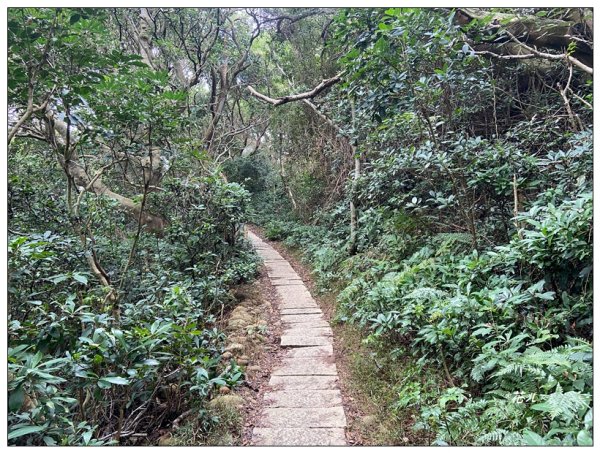 鳳崎落日步道、山腳山2713472