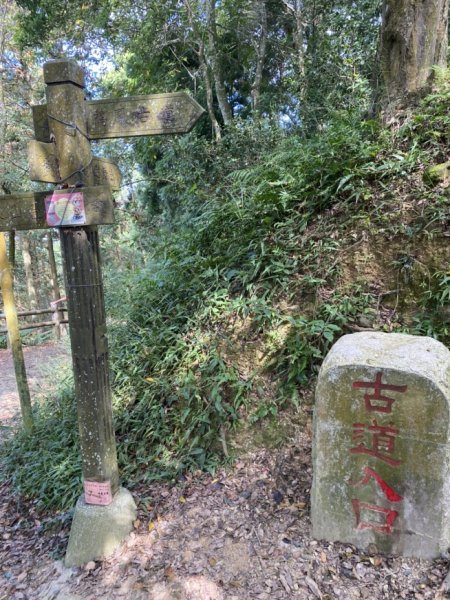 鳳鳴古道3060573