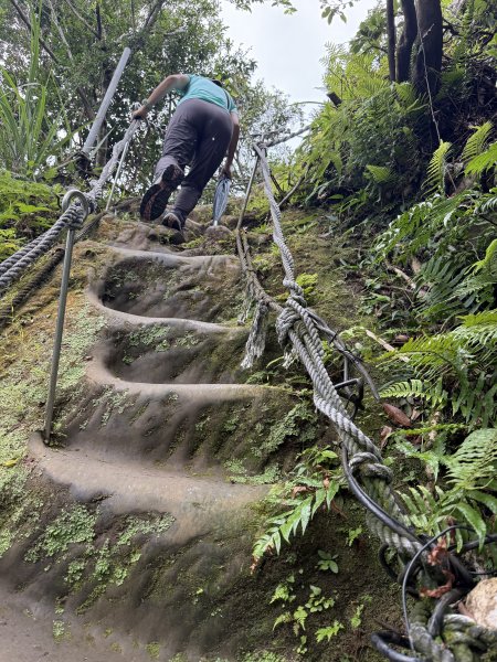 天上山+大棟山 2025.07.202864422