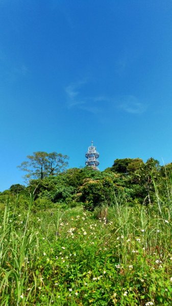 【刣牛湖山】小百岳1099097