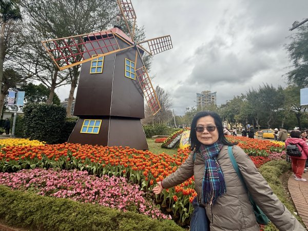 士林官邸~鬱金香2717320