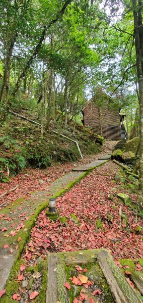 一日大雪山系屋我尾山、波津加山與啞口景觀2386716