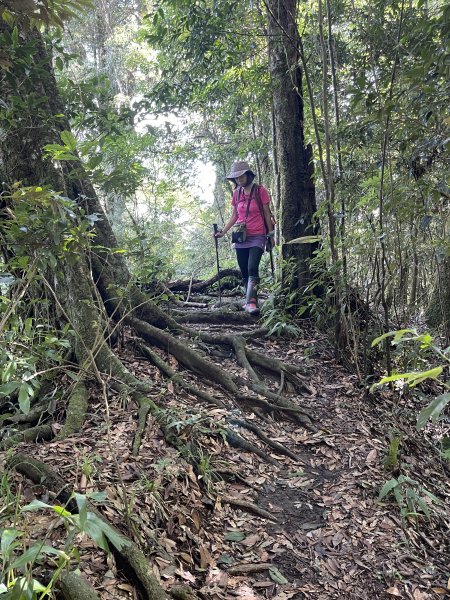 鵝公髻山-第一登山口來回-202408112573489