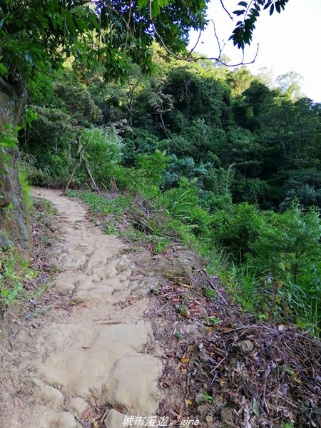 【新竹。關西】媲美高山美景。小百岳集起來。 編號25小百岳~石牛山步道1496846