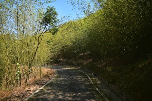 20250228西九份坑山-九份坑山-觀日峰-新厝山-火炎山-美艷山2722406