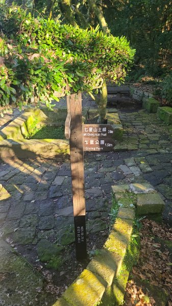 2026-0213 苗圃-凱達格蘭山-七星錐-七星山南峰-小油坑-竹子湖-水車寮步道-湖田猴崁步道-3005642