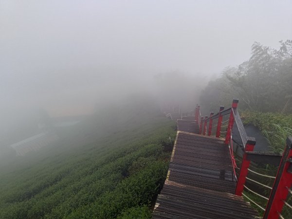華山4-2號步道上雲嘉連峰2579391