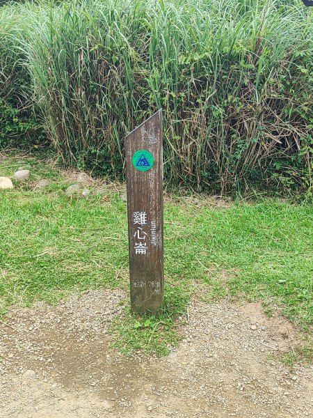 臺北大縱走第三段：小油坑至風櫃口2817668