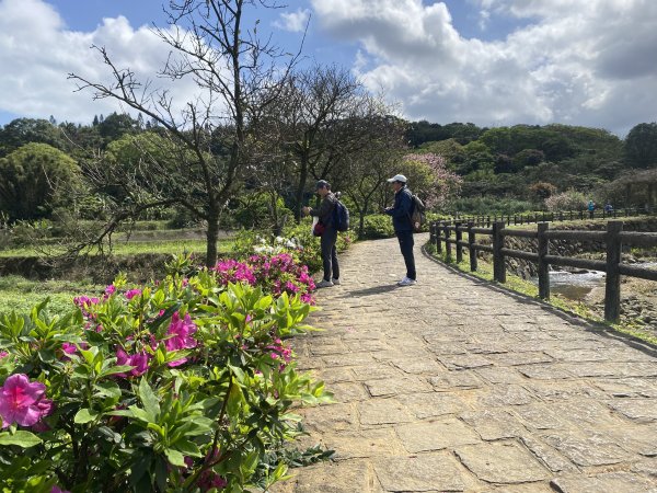 🚗從淡金公路出發｜三生步道櫻花與田園風光・春日療癒散步3018740
