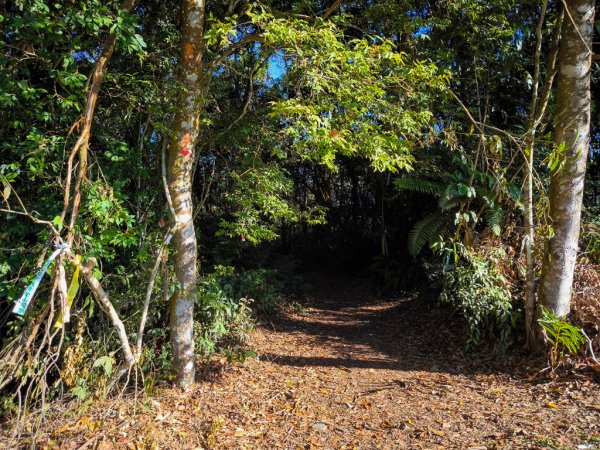 2025-12-21 武界山、獅凸魯山、橫屏山、橫屏山西峰2969685