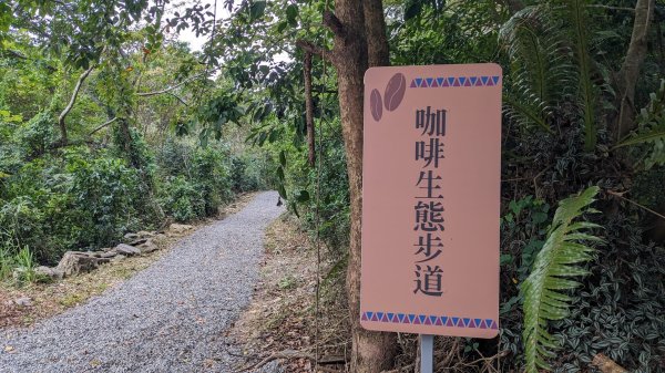 [屏步青雲] 屏東山旅行 德文山2650733