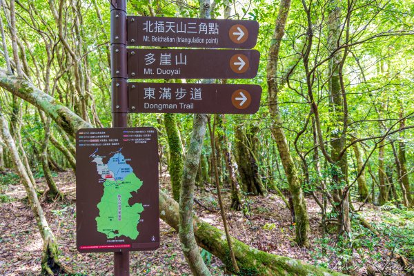 [桃園]北插天山磨練之旅2532902