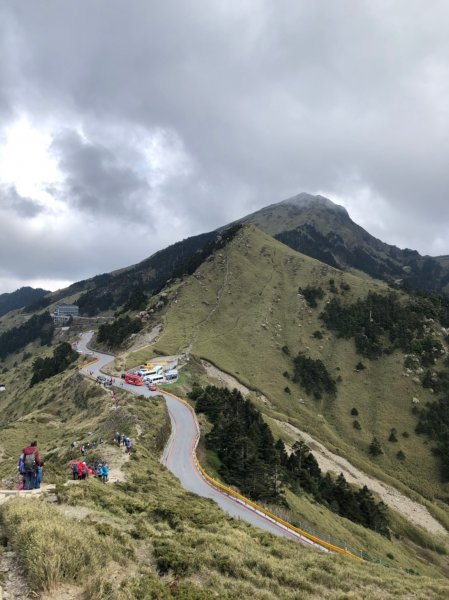 合歡山五座百岳賞杜鵑花587058